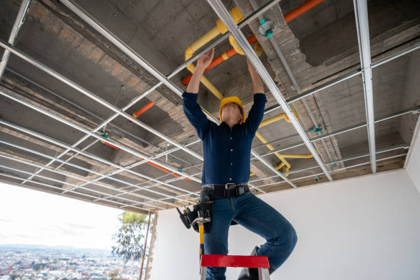 Best Commercial Plumbing Services  in Zephyrhills South, FL