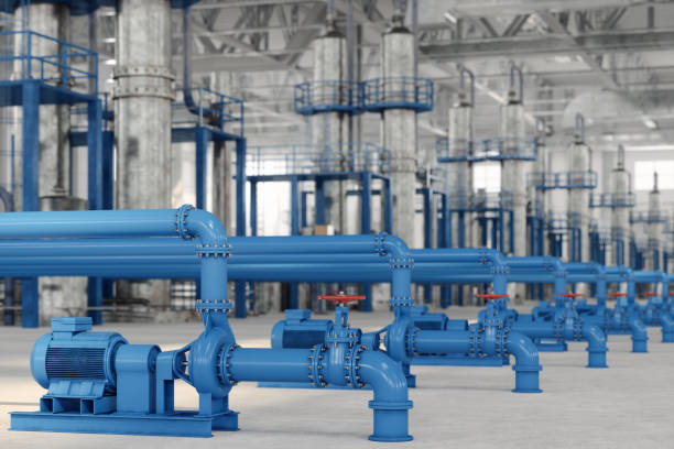 Best Plumbing Inspection Services  in Zephyrhills South, FL