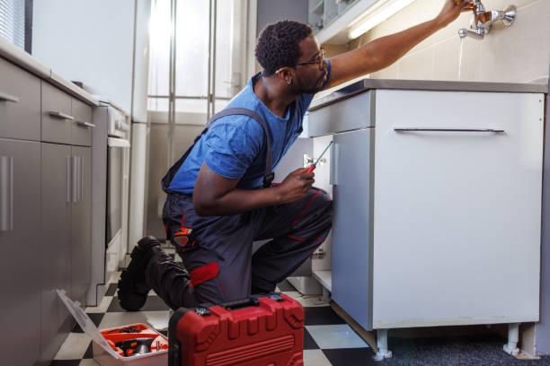 Best Water Softener Installation  in Zephyrhills South, FL